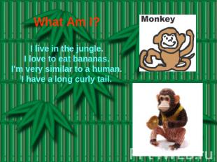 What Am I? I live in the jungle.I love to eat bananas.I'm very similar to a huma