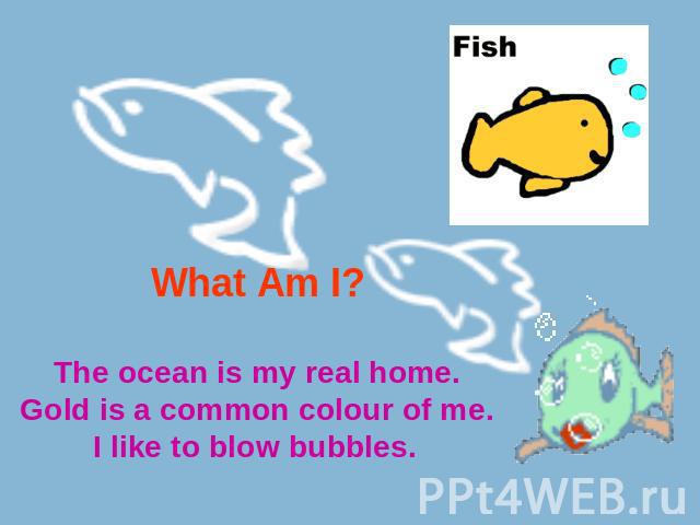 What Am I? The ocean is my real home.Gold is a common colour of me.I like to blow bubbles.