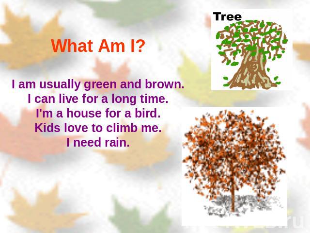 What Am I? I am usually green and brown.I can live for a long time.I'm a house for a bird.Kids love to climb me.I need rain.