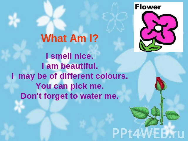 What Am I? I smell nice.I am beautiful.I may be of different colours.You can pick me.Don't forget to water me.