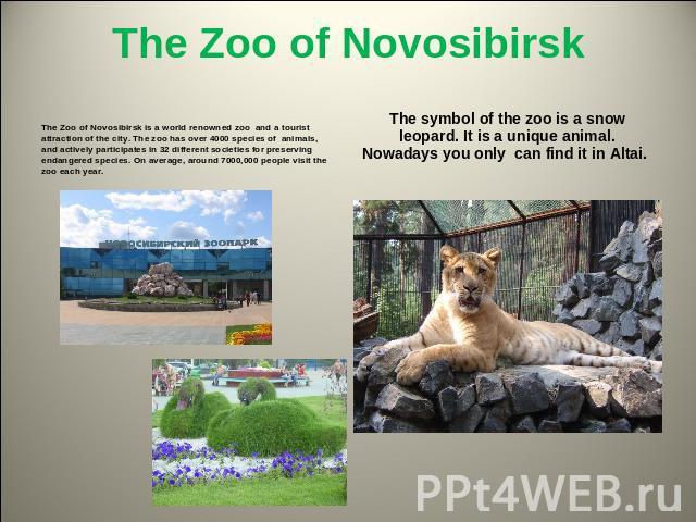 The Zoo of Novosibirsk The Zoo of Novosibirsk is a world renowned zoo and a tourist attraction of the city. The zoo has over 4000 species of animals, and actively participates in 32 different societies for preserving endangered species. On average, …