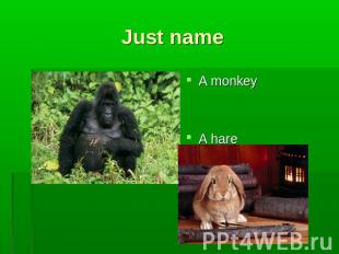 Just name A monkey A hare