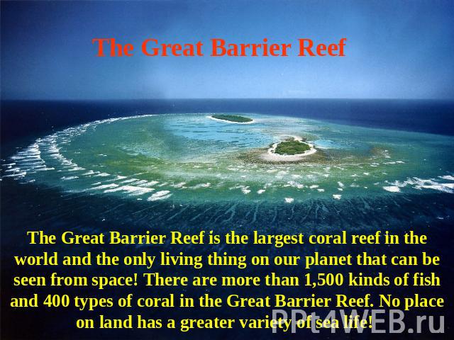 The Great Barrier Reef The Great Barrier Reef is the largest coral reef in the world and the only living thing on our planet that can be seen from space! There are more than 1,500 kinds of fish and 400 types of coral in the Great Barrier Reef. No pl…