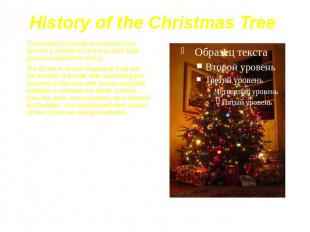 History of the Christmas Tree The tradition of having an evergreen tree become a
