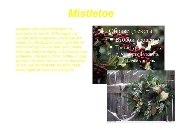 Mistletoe Mistletoe was often hung over the entrances to homes of the pagans in Scandinavian countries to keep out evil spirits. An old Scandinavian myth tells of the seemingly invulnerable god, Balder, who was struck down by a dart made from mistle…