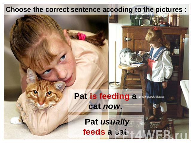 Choose the correct sentence accoding to the pictures : Pat is feeding a cat now. Pat usually feeds a cat.