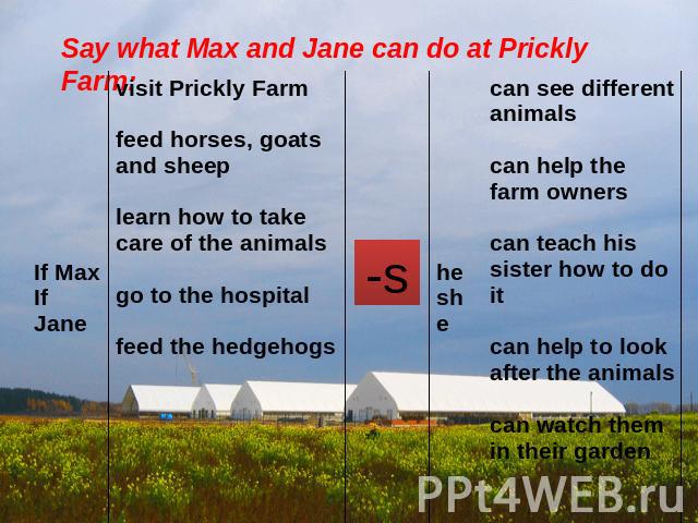 Say what Max and Jane can do at Prickly Farm: