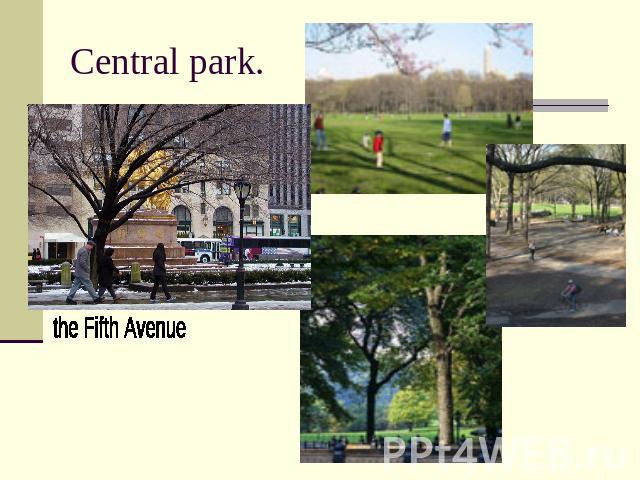 Central park. the Fifth Avenue