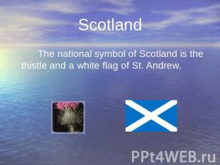 Scotland The national symbol of Scotland is the thistle and a white flag of St.