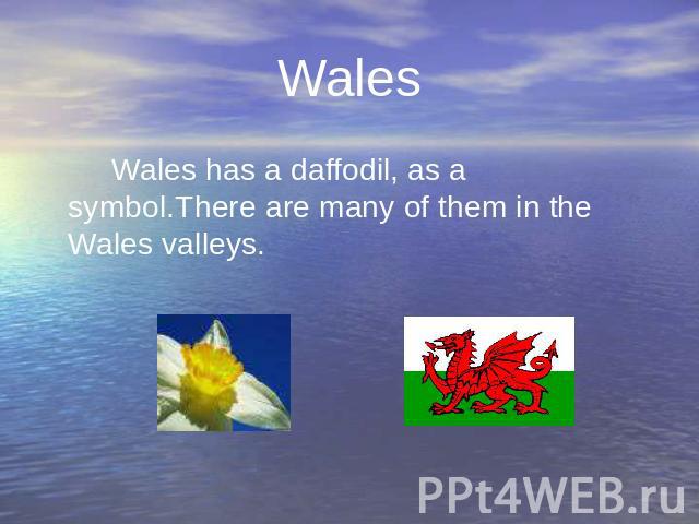 Wales Wales has a daffodil, as a symbol.There are many of them in the Wales valleys. Wales has a daffodil, as a symbol.There are many of them in the Wales valleys.