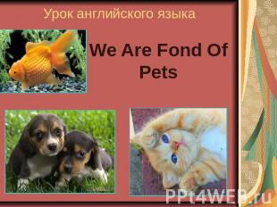 Урок английского языка We Are Fond Of Pets