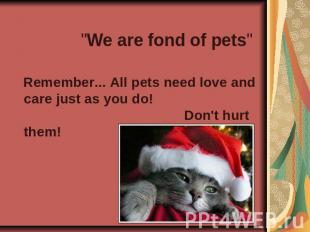 &quot;We are fond of pets&quot; Remember... All pets need love and care just as
