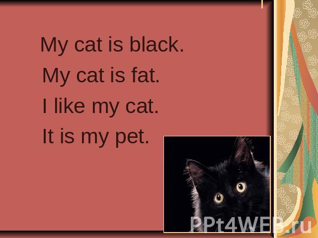 I My cat is black. My cat is fat. I like my cat. It is my pet.