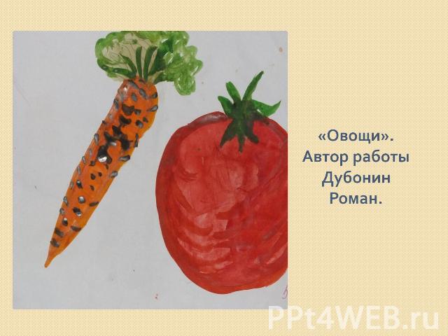 «Овощи».Автор работы Дубонин Роман.