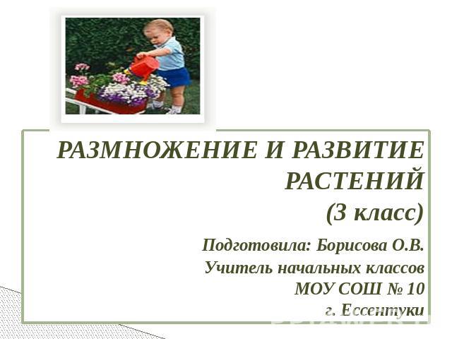 РАЗМНОЖЕНИЕ И РАЗВИТИЕ РАСТЕНИЙ (3 класс) Подготовила: Борисова О.В. Учитель начальных классов МОУ СОШ № 10 г. Ессентуки