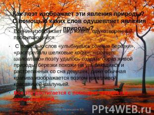 Как поэт изображает эти явления природы? С помощью каких слов одушевляет явления