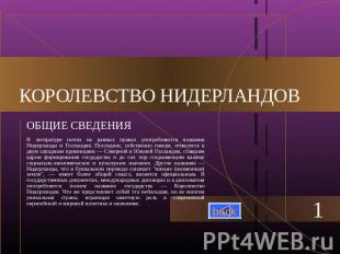 КОРОЛЕВСТВО НИДЕРЛАНДОВ ОБЩИЕ СВЕДЕНИЯ В литературе почти на равных правах употр