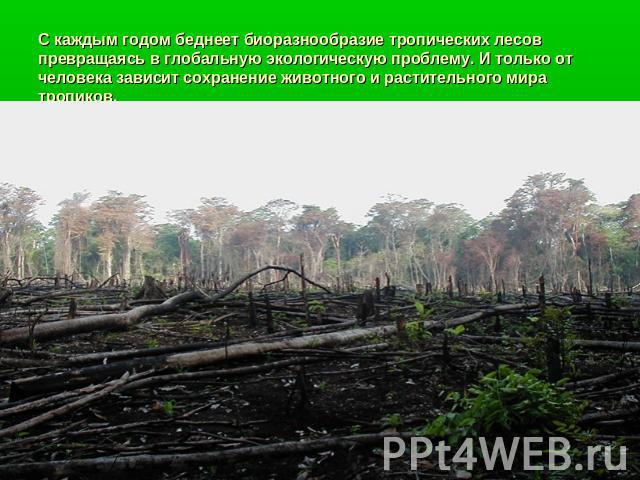 С каждым годом беднеет биоразнообразие тропических лесов превращаясь в глобальную экологическую проблему. И только от человека зависит сохранение животного и растительного мира тропиков.