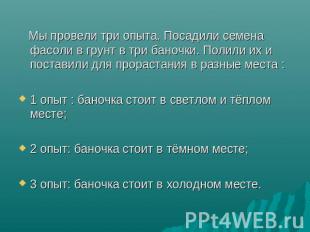 Мы провели три опыта. Посадили семена фасоли в грунт в три баночки. Полили их и