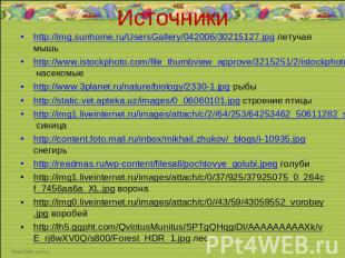Источники http://img.sunhome.ru/UsersGallery/042006/30215127.jpg летучая мышь ht