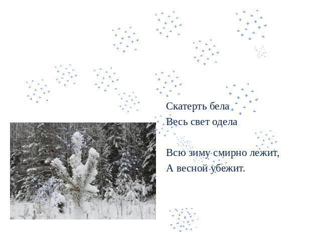 Снег Скатерть бела Весь свет одела. Всю зиму смирно лежит, А весной убежит.
