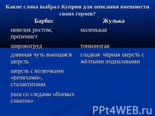 Какие слова выбрал Куприн для описания внешности своих героев?