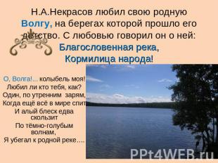 Н.А.Некрасов любил свою родную Волгу, на берегах которой прошло его детство. С л