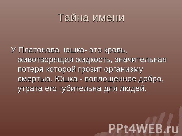 Тайна имени У Платонова юшка- это кровь, животворящая жидкость, значительная потеря которой грозит организму смертью. Юшка - воплощенное добро, утрата его губительна для людей.