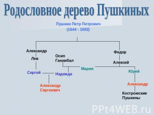 Родословное дерево Пушкиных Пушкин Петр Петрович(1644 - 1692)
