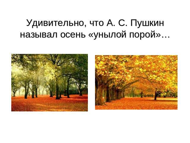 Удивительно, что А. С. Пушкин называл осень «унылой порой»…