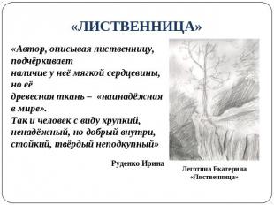 «ЛИСТВЕННИЦА» «Автор, описывая лиственницу, подчёркивает наличие у неё мягкой се