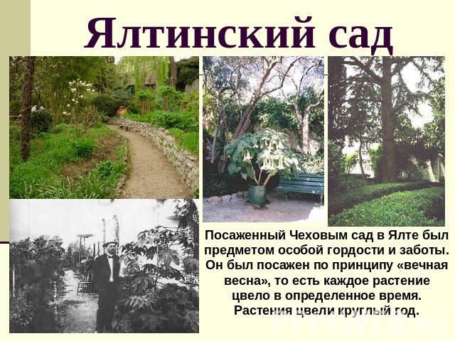 Ялтинский сад Посаженный Чеховым сад в Ялте был предметом особой гордости и заботы. Он был посажен по принципу «вечная весна», то есть каждое растение цвело в определенное время. Растения цвели круглый год.