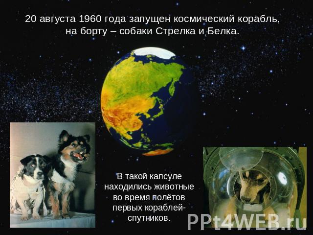 20 августа 1960 года запущен космический корабль, на борту – собаки Стрелка и Белка. В такой капсуле находились животные во время полётов первых кораблей-спутников.