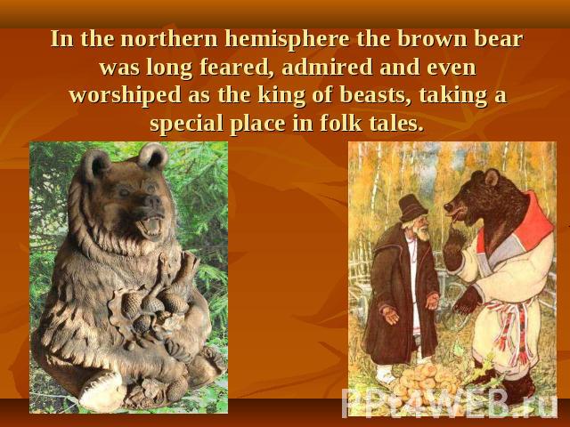 In the northern hemisphere the brown bear was long feared, admired and even worshiped as the king of beasts, taking a special place in folk tales.
