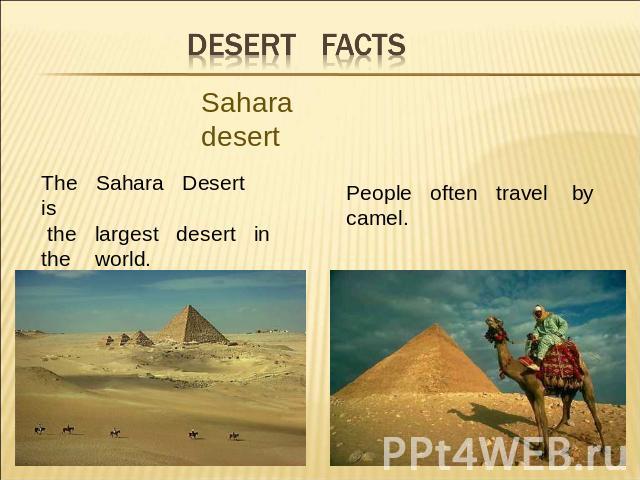 Desert facts Sahara desertThe Sahara Desert is the largest desert in the world. People often travel bycamel.
