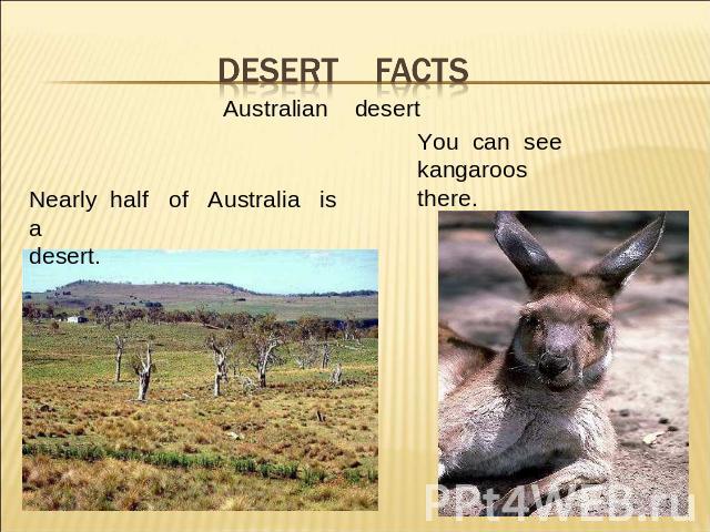Desert facts Australian desertNearly half of Australia is adesert.You can see kangaroosthere.