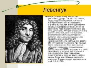 Левенгук Левенгук (Leeuwenhoek), Антони ван (24.10.1632, Делфт – 26.08.1723, там