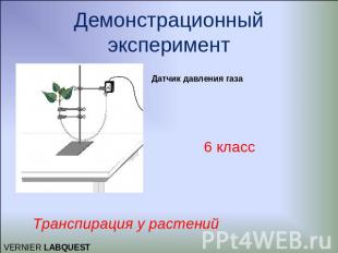 Демонстрационный эксперимент Датчик давления газа6 классТранспирация у растений