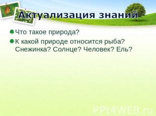 Актуализация знаний Что такое природа?К какой природе относится рыба? Снежинка?