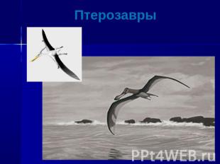 Птерозавры