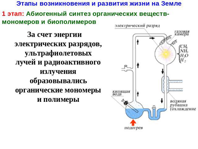 Этапы возникновения и развития жизни на Земле 1 этап: Абиогенный синтез органических веществ-мономеров и биополимеровЗа счет энергии электрических разрядов, ультрафиолетовых лучей и радиоактивного излучения образовывались органические мономеры и полимеры