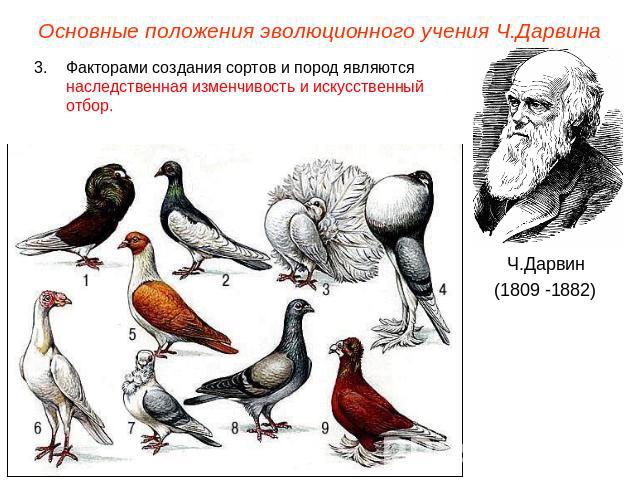 Основные положения эволюционного учения Ч.ДарвинаФакторами создания сортов и пород являются наследственная изменчивость и искусственный отбор.Ч.Дарвин(1809 -1882)