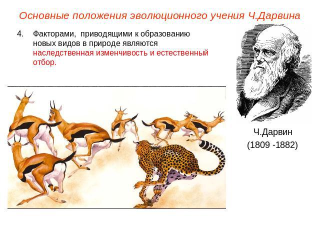 Основные положения эволюционного учения Ч.ДарвинаФакторами, приводящими к образованию новых видов в природе являются наследственная изменчивость и естественный отбор.Ч.Дарвин(1809 -1882)