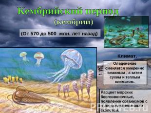 Кембрийский период(кембрий)(От 570 до 500 млн. лет назад) Климат.Оледенение смен
