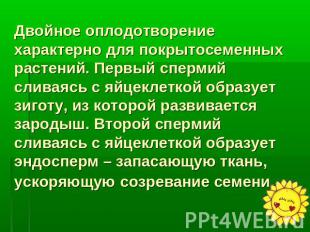 Двойное оплодотворение характерно для покрытосеменных растений. Первый спермий с