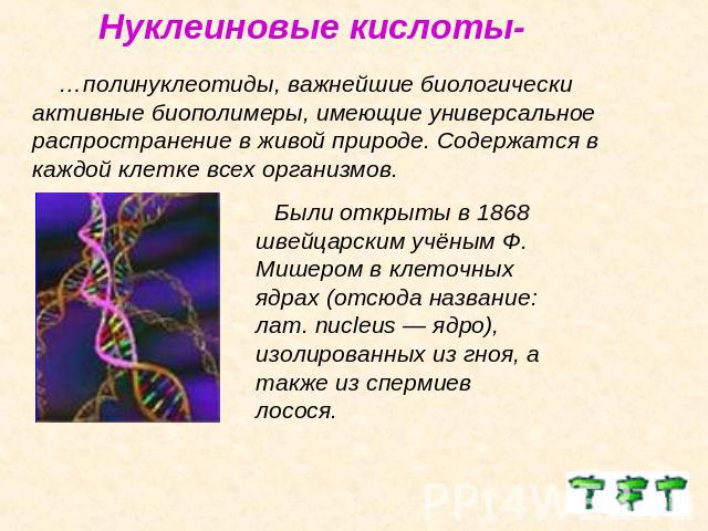 Нуклеиновые кислоты- …полинуклеотиды, важнейшие биологически активные биополимеры, имеющие универсальное распространение в живой природе. Содержатся в каждой клетке всех организмов. Были открыты в 1868 швейцарским учёным Ф. Мишером в клеточных ядрах…