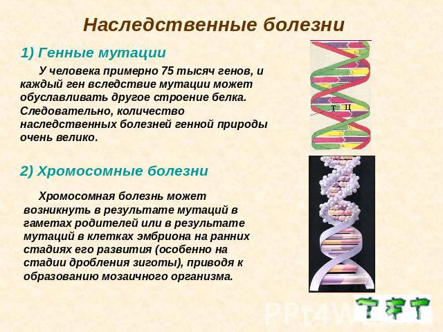 Наследственные болезни 1) Генные мутации У человека примерно 75 тысяч генов, и каждый ген вследствие мутации может обуславливать другое строение белка. Следовательно, количество наследственных болезней генной природы очень велико. 2) Хромосомные бол…