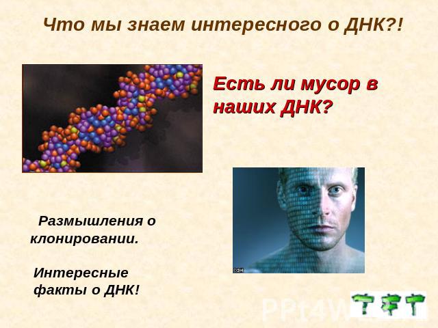 Что мы знаем интересного о ДНК?!Есть ли мусор в наших ДНК? Размышления о клонировании.Интересные факты о ДНК!