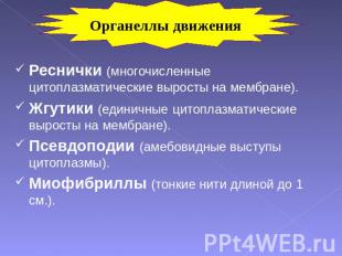 Органеллы движения Реснички (многочисленные цитоплазматические выросты на мембра