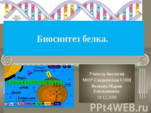 Биосинтез белка 9 класс